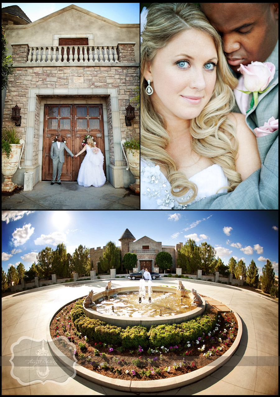 desert elegant wedding phoenix wedding photographer