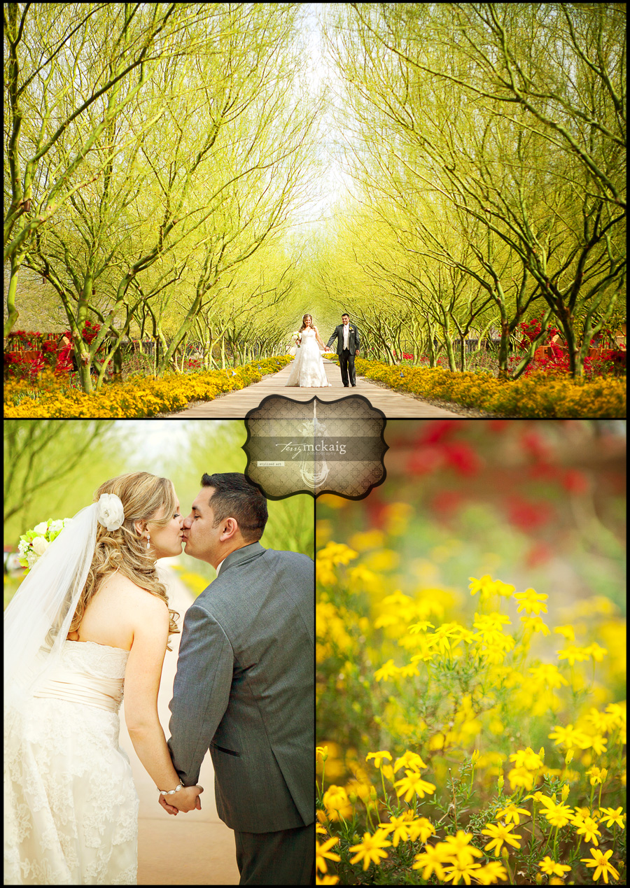 desert wedding blackstone country club phoenix wedding photographer desert wedding blackstone country club phoenix wedding photographer