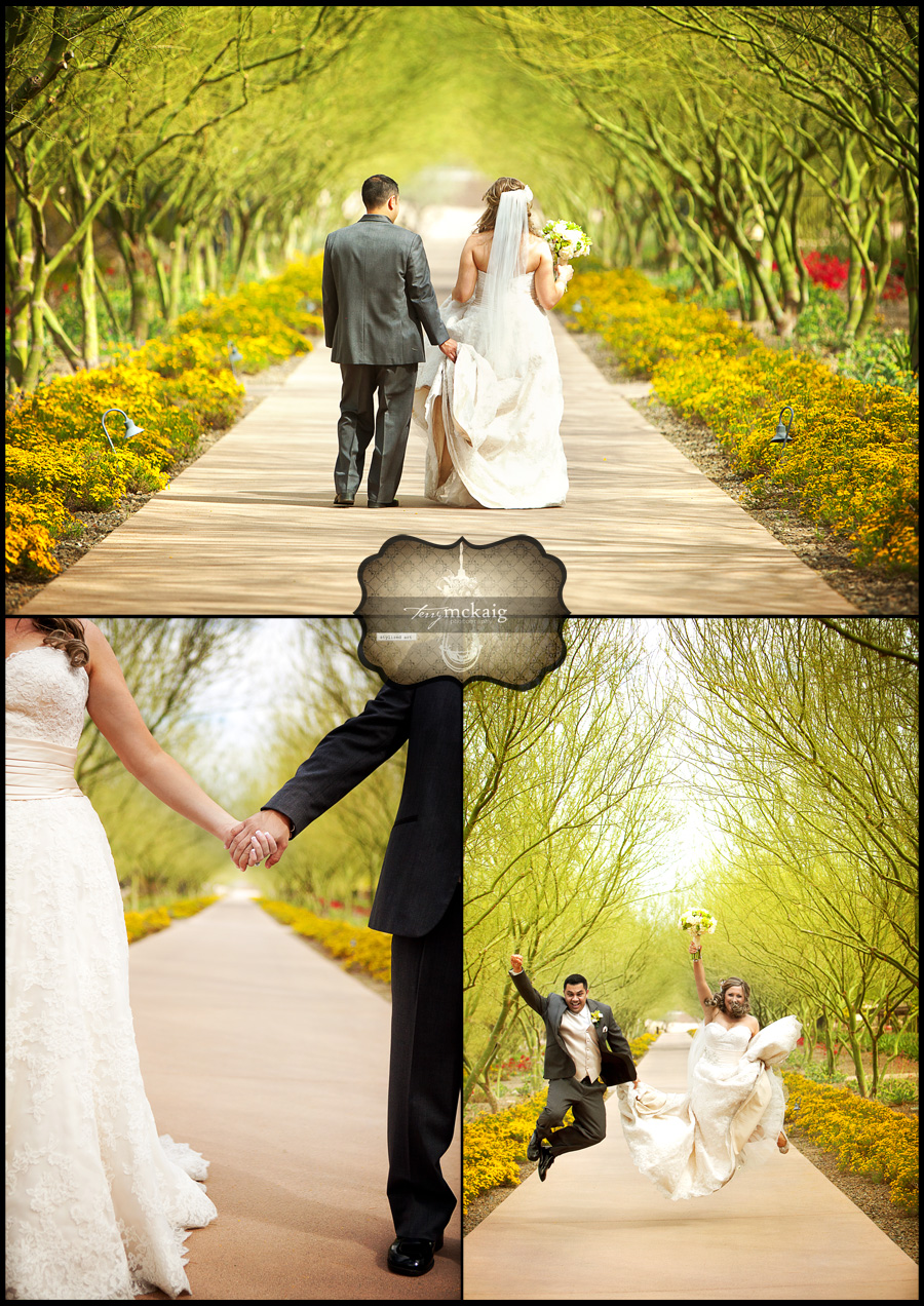 desert wedding blackstone country club phoenix wedding photographer desert wedding blackstone country club phoenix wedding photographer