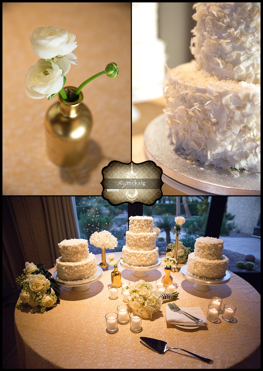 Scottsdale wedding photographer McCormick Ranch Scottsdale wedding photographer McCormick Ranch